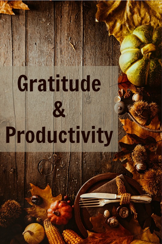 Why do we do what we do? Gratitude is the most powerful motivator we can have as we seek to get things done.